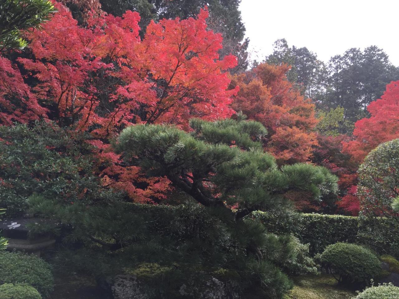Ryokan Yamazaki Kyoto Ngoại thất bức ảnh